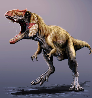 Illustration for article titled This colossal new megapredator may have outsized T. rex